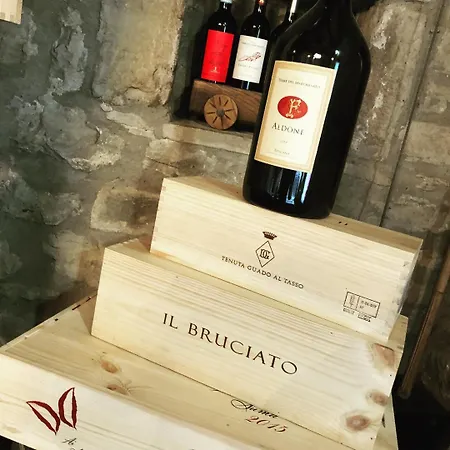 Del Castello 3*